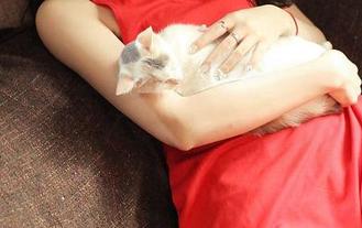 TGOD推女神 - 偶尔一瞥尤美Yumi的女仆套图，还真让人挺有遐想空间