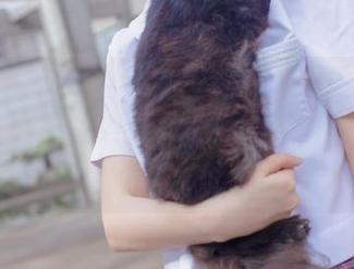 看疯猫ss在水手服和睡衣间切换的样子,这图片的作品让我不禁想起了小时候的恶作剧。